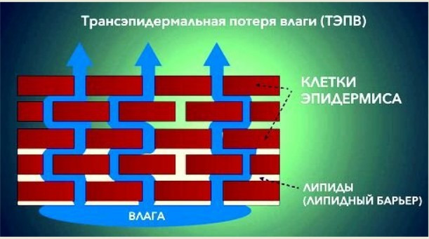 глубокое увлажнение
