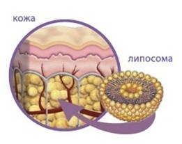 Активы в косметике