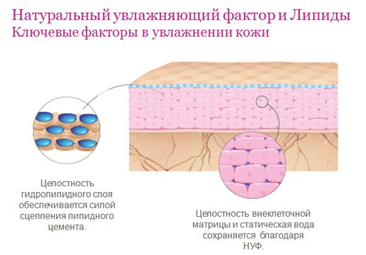 Увлажнение кожи