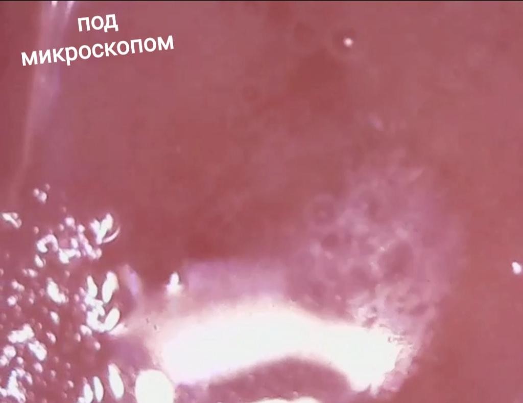 SEANTREE Marronnier Poaless ICE Toner Охлаждающий тонер с ледниковой водой
