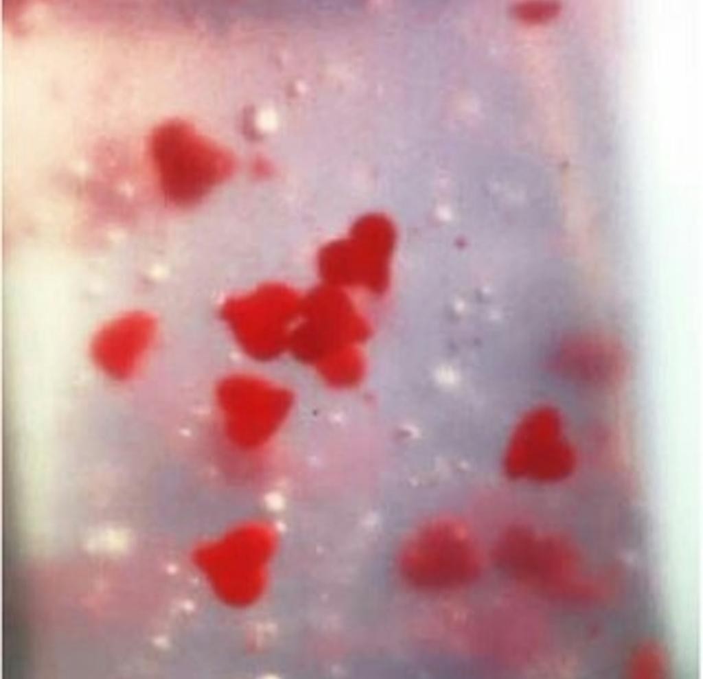 Seantree Heart Capsule All In One Treatment Уходовая сыворотка для лица 3 в 1: тонер, эссенция и эмульсия.